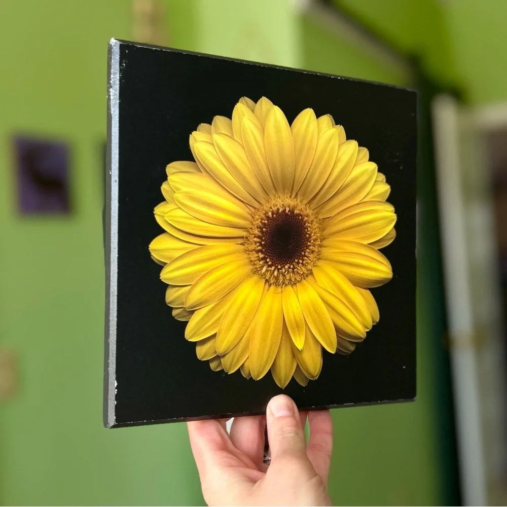 Stunning Floral Vibrant Yellow Cottagecore Wooden Wall Plaque Decor